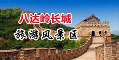 黑大粗视频中国北京-八达岭长城旅游风景区