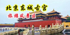 一级男女黄色操逼片网站中国北京-东城古宫旅游风景区